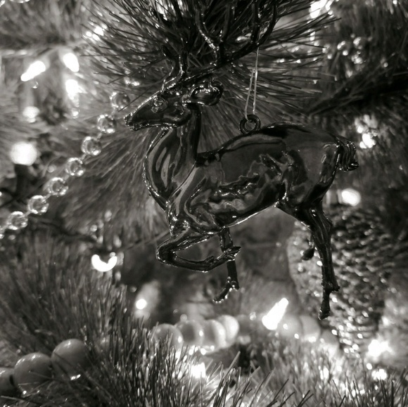 Meet your Posher, Cathryn - Picture 1 of 1